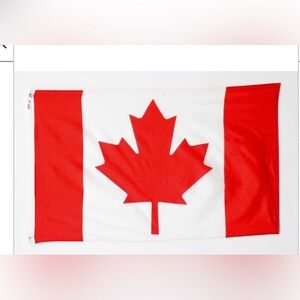 NEW I love Canada bundle - flag, tote, tattoos, bracelets, banner, headband, etc